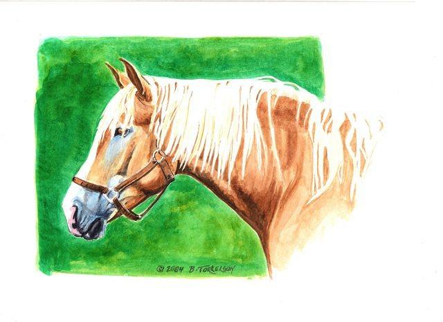 draft horses 4-10-20050046