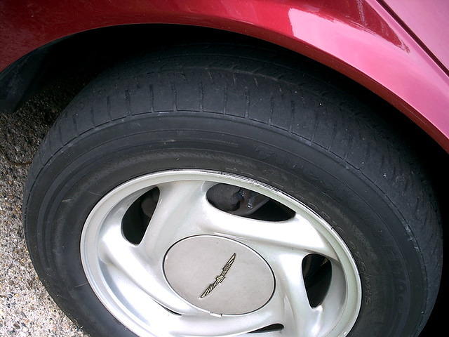 08birdfronttire