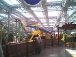 "Camp Snoopy" theres a whole amusment park in the middle of the mall. Roller coasters and all!