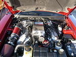 hooters car show cobra 1