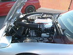 hooters car show vette