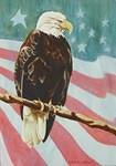 Eagle with flag 002