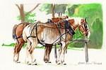 draft horses 4-10-20050042